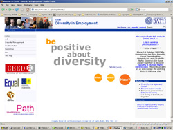 create - manage diversity