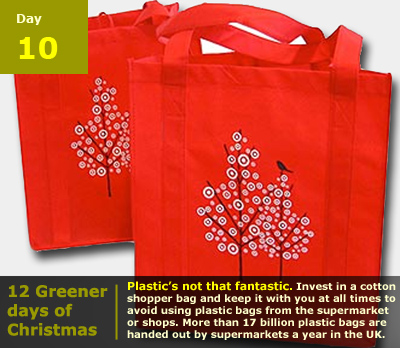 12 greener days of xmas